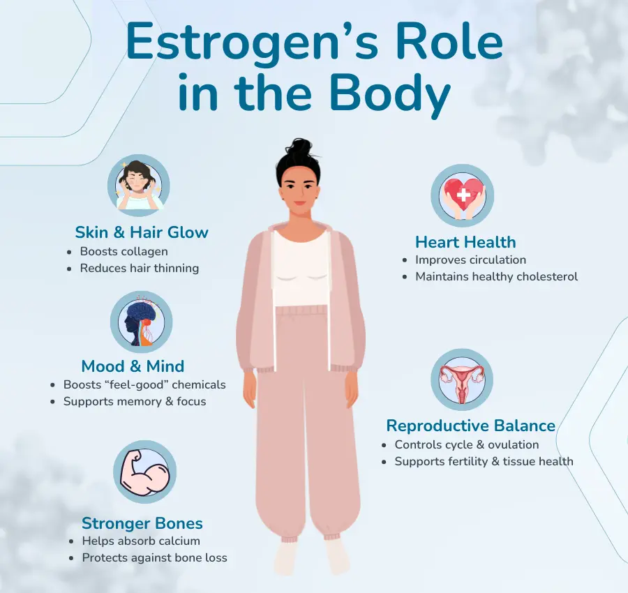 Estrogen Explained: What It Does & Why It Matters