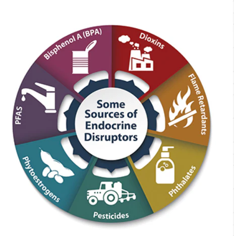 7 Signs of Hormonal Imbalance and How to Fix It