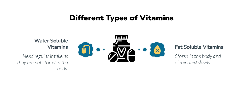 Best Natural Food Sources of Vitamins A, B, C, D, E, and K