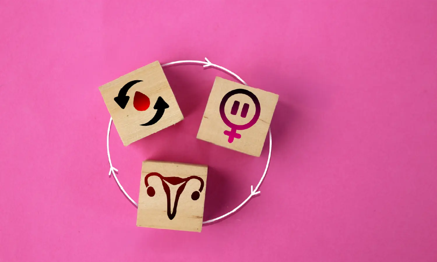 Estrogen Explained: What It Does & Why It Matters