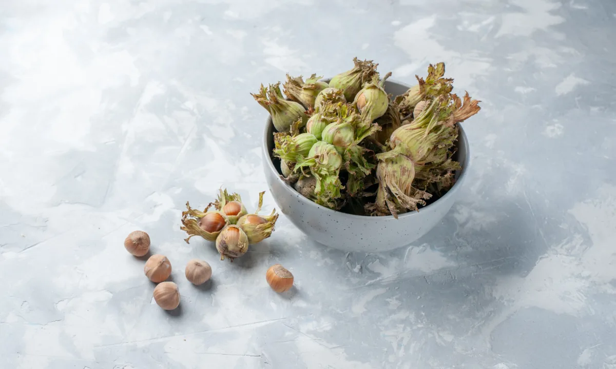 Horny Goat Weed: How Fast Does It Really Work? (What Science Actually Says)