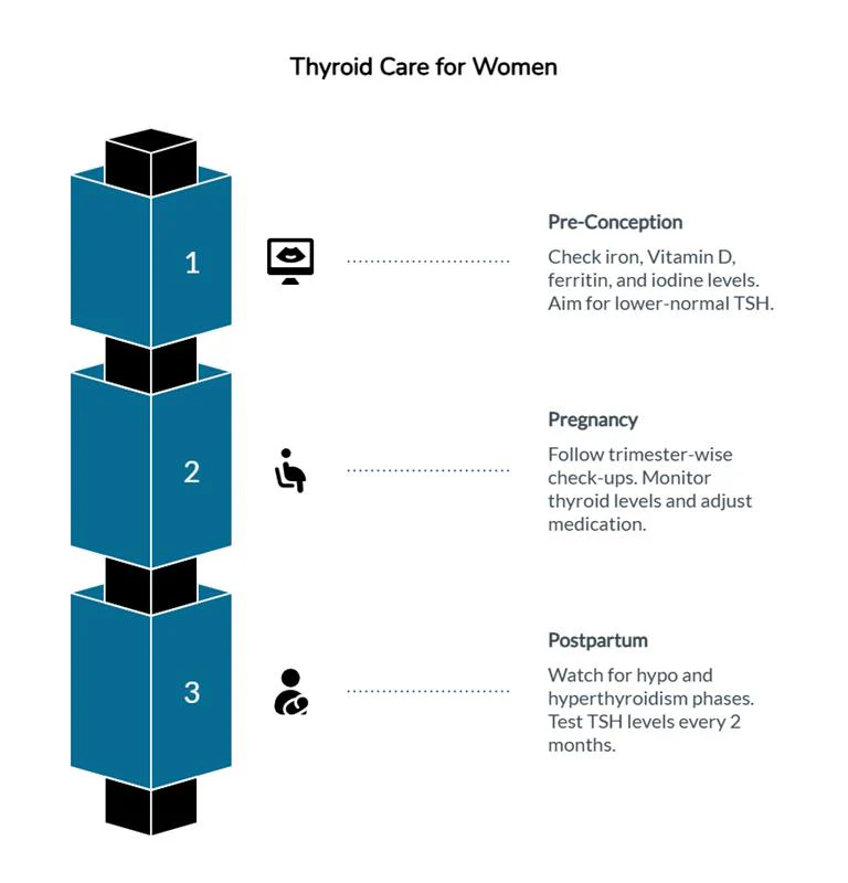 Thyroid Health in Women: Expert Strategies to Restore Balance at Every Life Stage