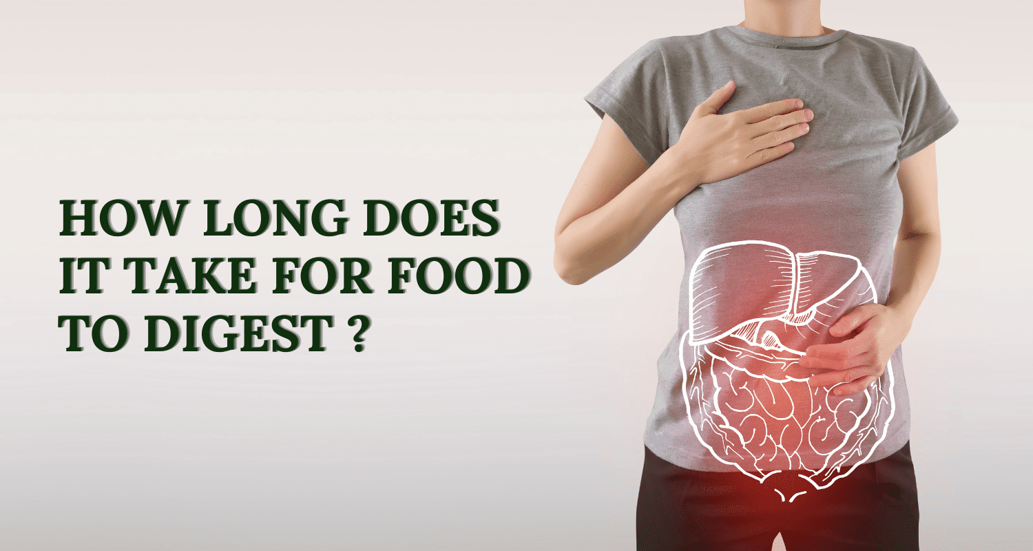 How Long Does It Take for Food to Digest?
