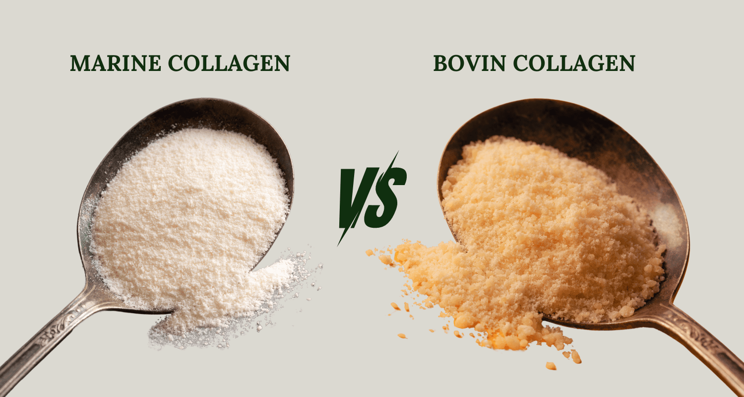 Marine collagen vs Bovine collagen: Which One Is Right for You?