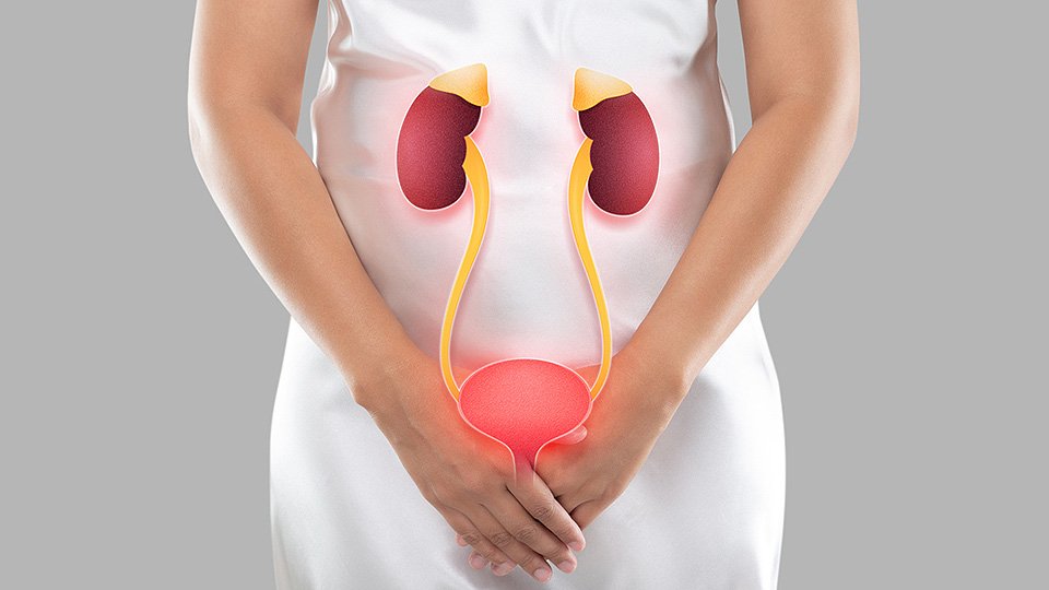 Interstitial Cystitis Symptoms: The Bladder Condition That Mimics UTIs
