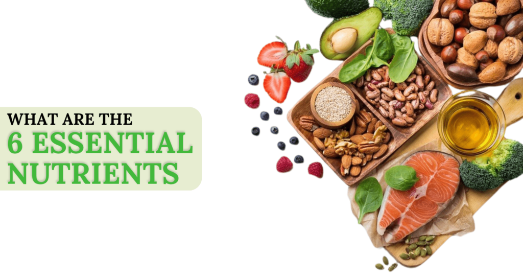 What Are the 6 Essential Nutrients? A Complete Guide to Daily Nutrition