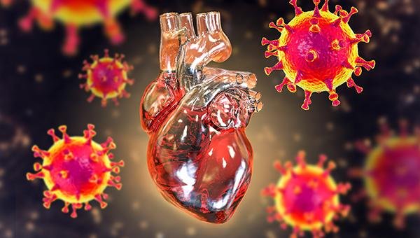 COVID and Heart Health: What the Data Says About Long-Term Cardiac Risk