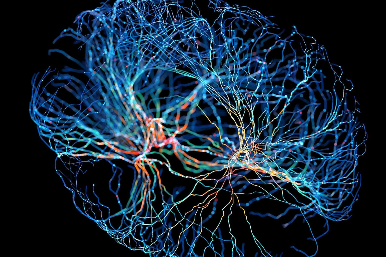 Can You Grow New Brain Cells? Neuroplasticity Explained for Adults