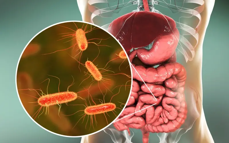 Small Intestinal Bacterial Overgrowth (SIBO): Symptoms and Treatment