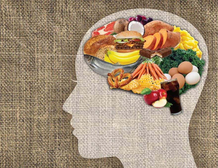 Best Brain Foods for Memory and Focus: What Neuroscience Says